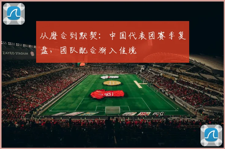 从磨合到默契：中国代表团赛季复盘，团队配合渐入佳境